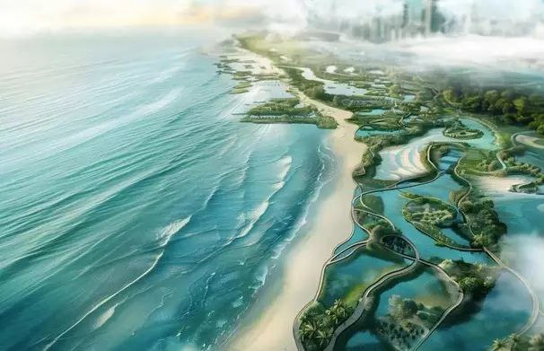 迪拜红树林项目计划在迪拜海岸线种植1亿多棵树